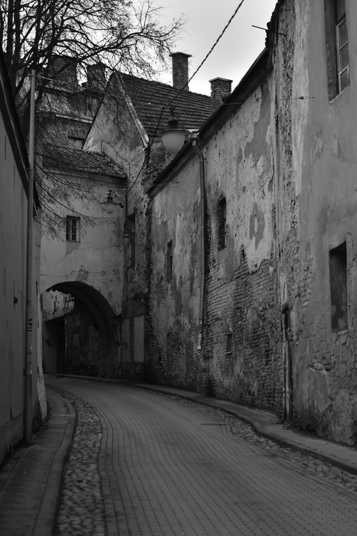 2020-01-11 Vilnius/DSC_2991.JPG